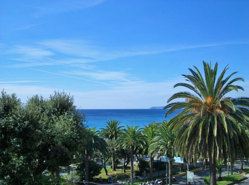 Finale Ligure Palms